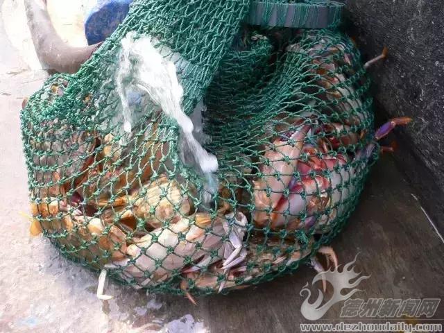 夏天的長島永遠25度，這個攻略，你未（yi)必(ding)用