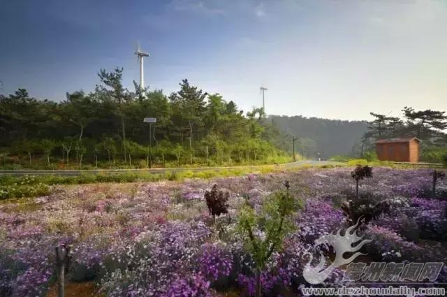 夏天的長島永遠25度，這個攻略，你未（yi)必(ding)用