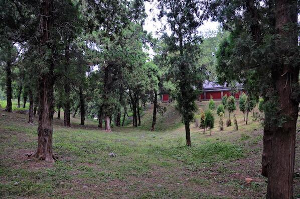 魯硯：一種石頭的記憶