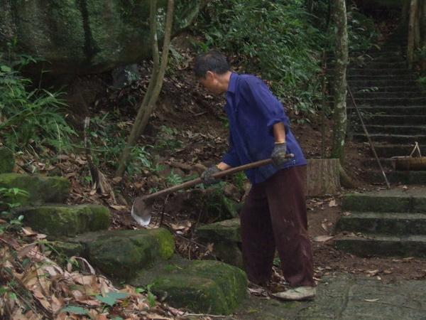 三明仙人谷國家森林公園圖片22