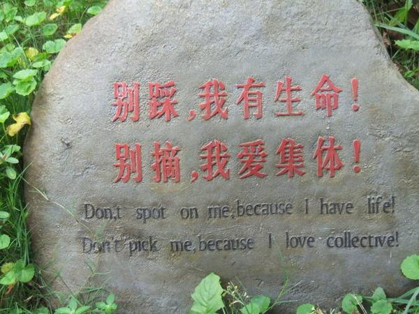 三明仙人谷國家森林公園圖片28