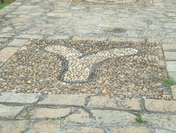 三明仙人谷國家森林公園圖片30