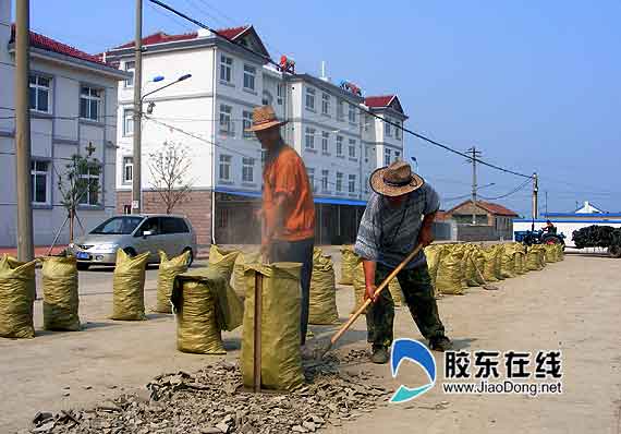 煙臺長島興起“參糧”加工業(yè)