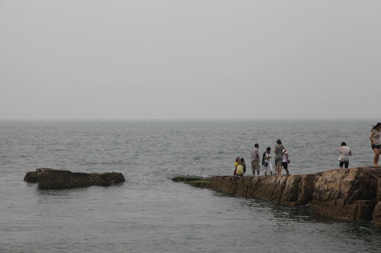 煙臺(tái) 蓬萊 長(zhǎng)島游 (一） - 山茱萸 - 我的博客