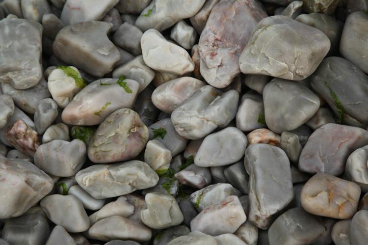 煙臺(tái) 蓬萊 長(zhǎng)島游 (一） - 山茱萸 - 我的博客