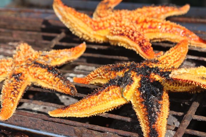 無與倫比的美味：長島國際度假區(qū)的海鮮盛宴 - 西園的貓 - 風從海面吹過來