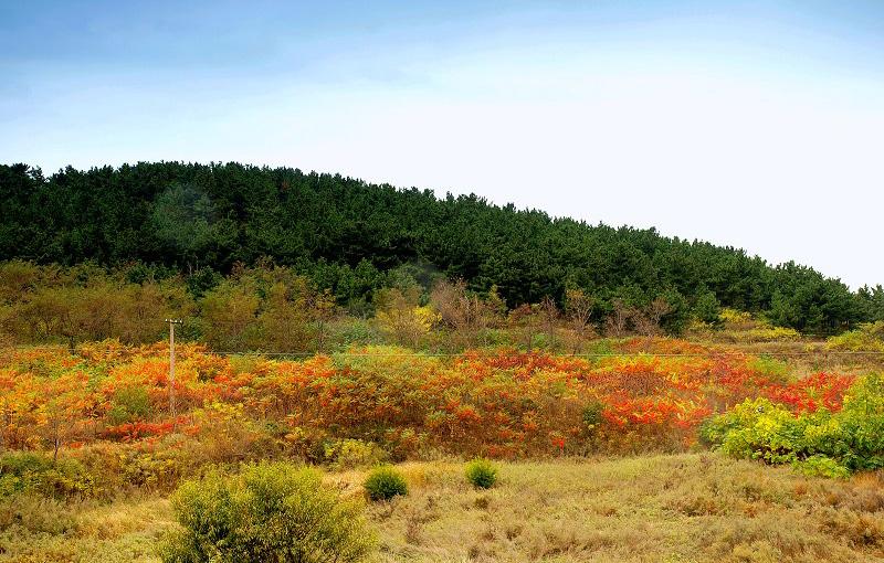 長(zhǎng)島旅游