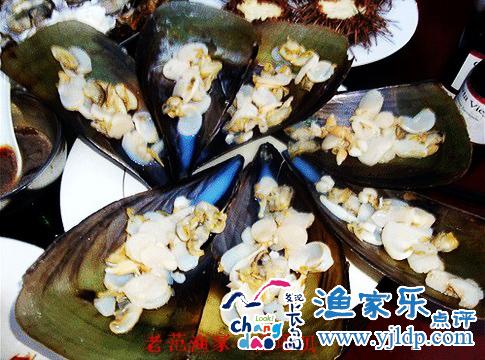 老范漁家樂(lè)