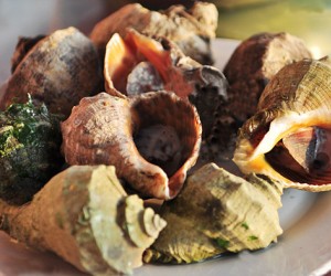 長(zhǎng)島福海漁家樂