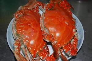 長(zhǎng)島邦德漁家大院