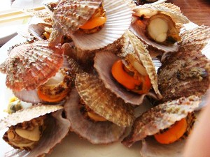 長島紅柳漁家別墅