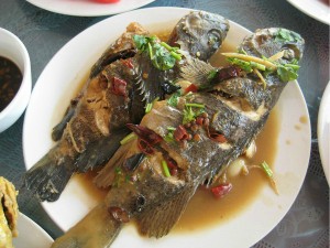 長島戰(zhàn)友漁家