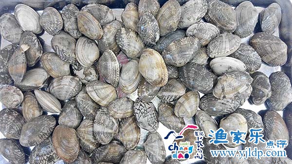 QQ圖片20150709181727