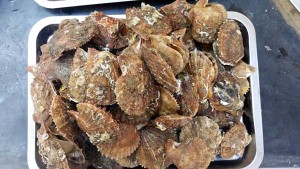 長島海客家園漁家樂