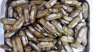 長(zhǎng)島?？图覉@漁家樂