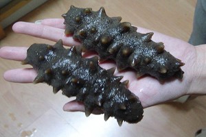 9B54BBF8DB6E9FAFA58CEE81669F8876