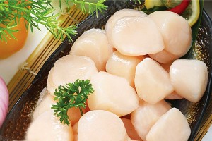 長島建建漁家樂