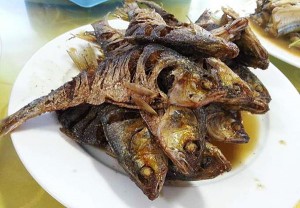 長島曉龍漁家樂