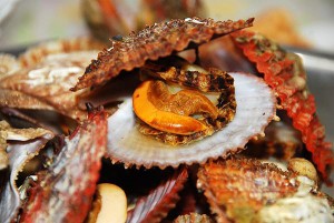 長島寧寧漁家樂