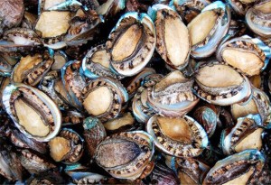 長(zhǎng)島富華漁家樂