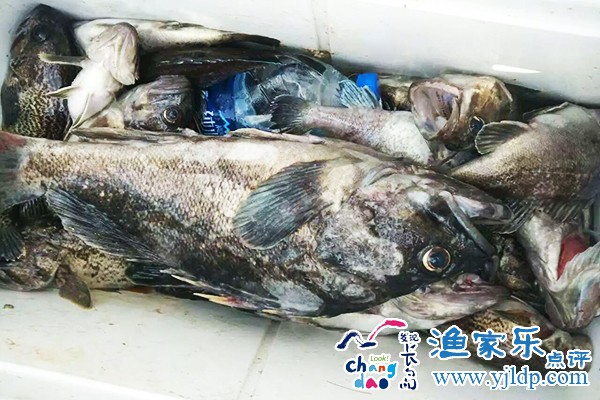 QQ圖片20170314161021