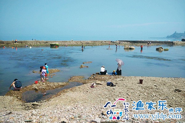 QQ圖片20170314161050