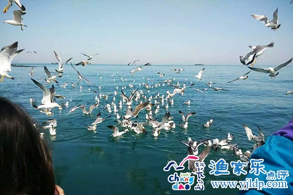 QQ圖片20170314161009