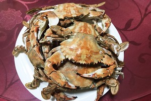 微信圖片_20170416141135