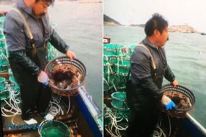 長(zhǎng)島老刁漁家樂