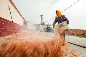 長島大欽島宏盛漁家樂