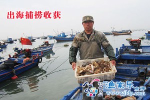 長島九丈崖漁家樂