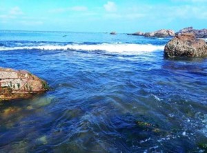 長島南隍城島 小娟漁家