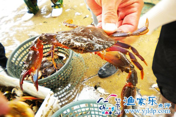 長島海巖漁家樂