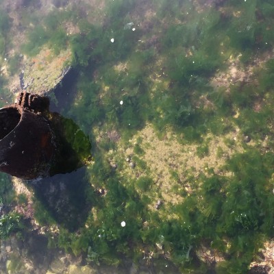 長島大黑山 古村落漁家客棧