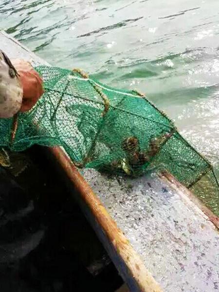 長(zhǎng)島旅游