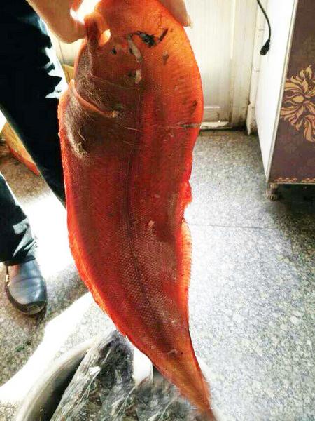 長(zhǎng)島旅游