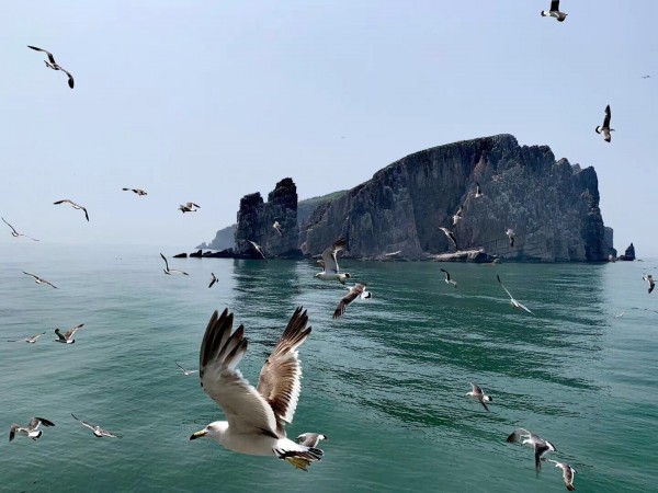 長島星宿漁家客棧