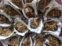 長(zhǎng)島依山戀海漁家